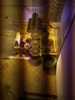 IMG_20170907_122140.jpg