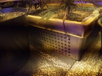 IMG_20170907_122227.jpg