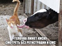 184052582.p.800.800.0.jpg