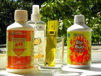 41.2 опрыск.JPG