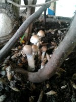 2016-04-19 15.27.53-1.jpg