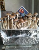 2013-04-23 17.01.34-1.jpg