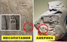 Без названия (1).jpg