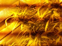 20170910_125832.jpg