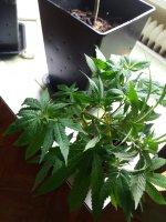 20170912_091650.jpg