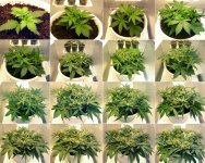 Дизайн без названия.jpg