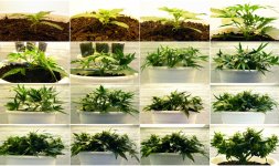 Дизайн без названия2.jpg