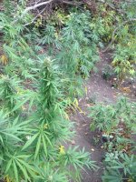 Изображение 012.jpg