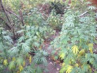 Изображение 009.jpg