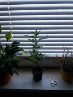 20170914_094644.jpg