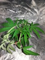 20170914_092356.jpg