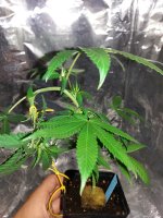 20170914_093745.jpg