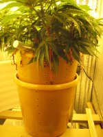 IMG_2566.JPG