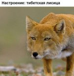 70459899.f.800.800.0.jpg