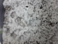 20170914_212909.jpg