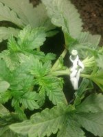 DSC_0170.JPG