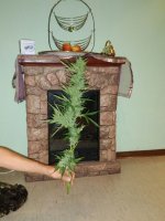 IMG-20170915-WA0000.jpg