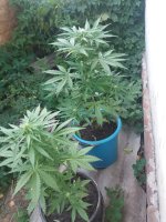20170915_165502.jpg