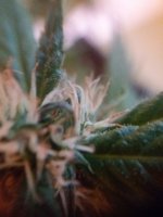 20170915_185554.jpg
