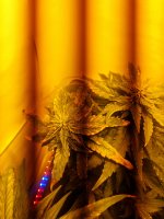 20170917_103212.jpg