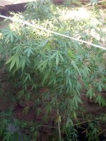 IMG_20170912_174020.jpg
