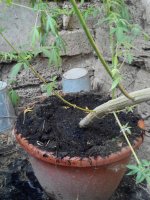 IMG_20170912_174332.jpg