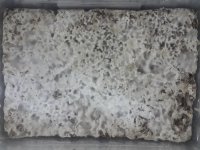 20170918_223841.jpg