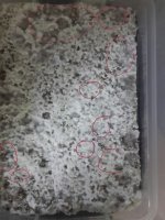 20170919_210245.jpg