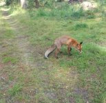 IMG_4478.JPG
