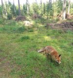 IMG_4479.JPG