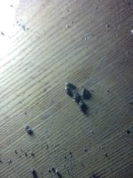 IMG_20170920_232727.jpg
