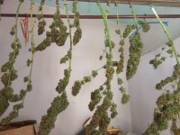 IMG_20170921_115621[1].jpg