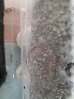20170921_163142.jpg
