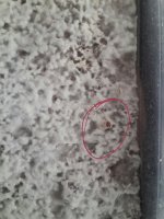20170921_163105.jpg