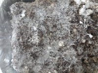 20170921_164606.jpg
