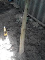 IMG_20170917_161518.jpg