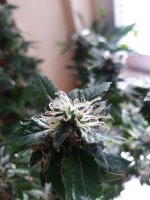 20170921_153119.jpg
