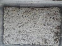20170922_133337.jpg