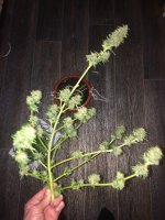 20170910_010052401_iOS.jpg
