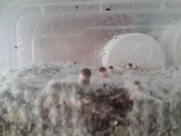 20170923_150412.jpg