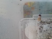 20170923_150357.jpg