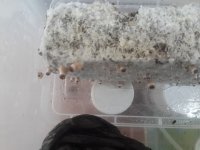 20170923_150344.jpg