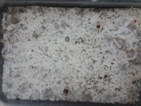 20170923_150326.jpg