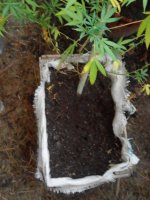 IMG_20170921_182914.jpg