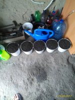 P_20170829_112512_p.jpg