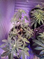 20170925_090237.jpg