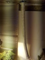 IMG_20170925_112712.jpg