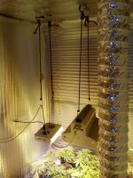 IMG_20170925_112821.jpg