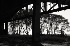 _MG_8666-Edit.jpg