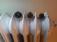 20170926_180630.jpg
